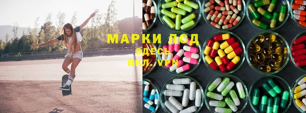 spice Нея